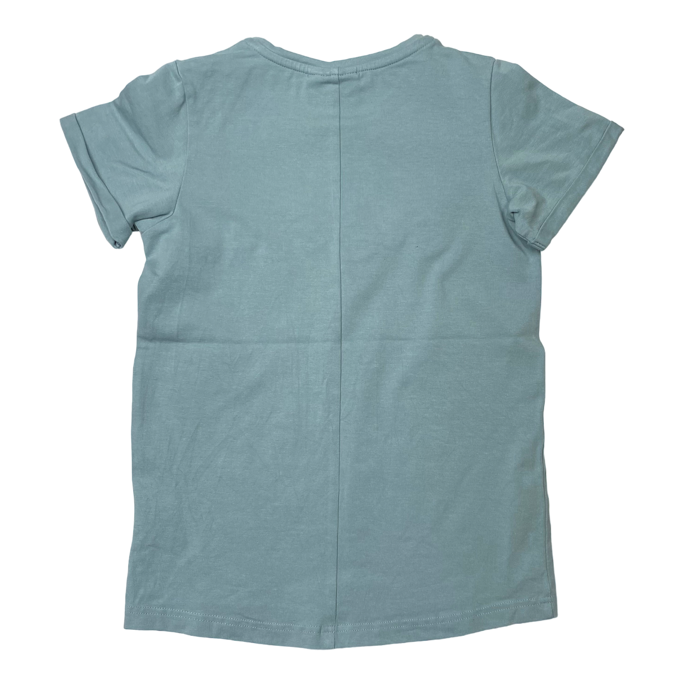 Gugguu t-shirt, light pistachio | 116cm