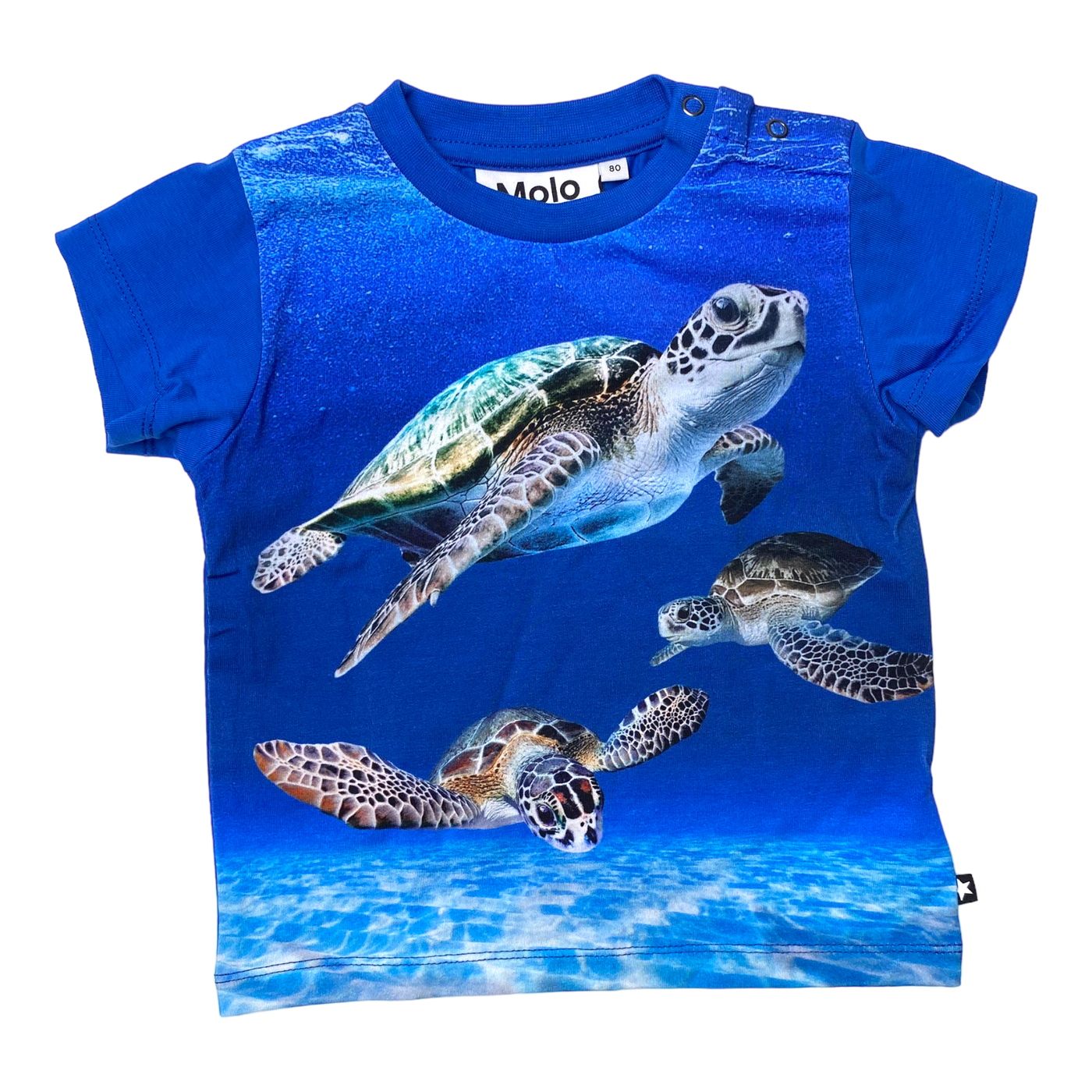 Molo t-shirt, baby turtles | 80cm