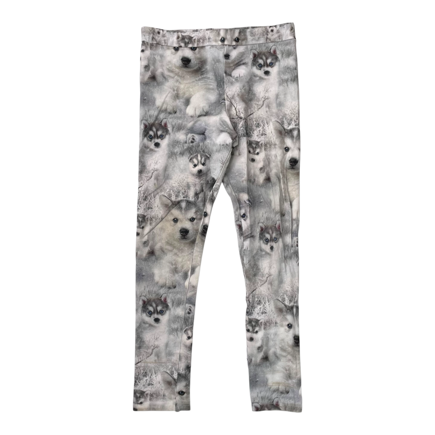 Gugguu leggings, husky | 110cm