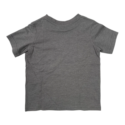 Patagonia t-shirt, grey | 92/98cm