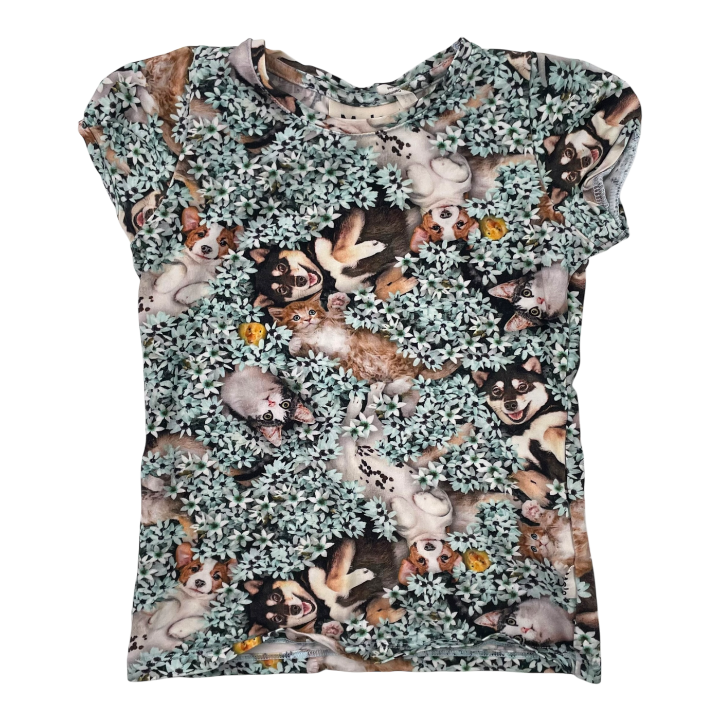 Molo t-shirt, floral | 104cm