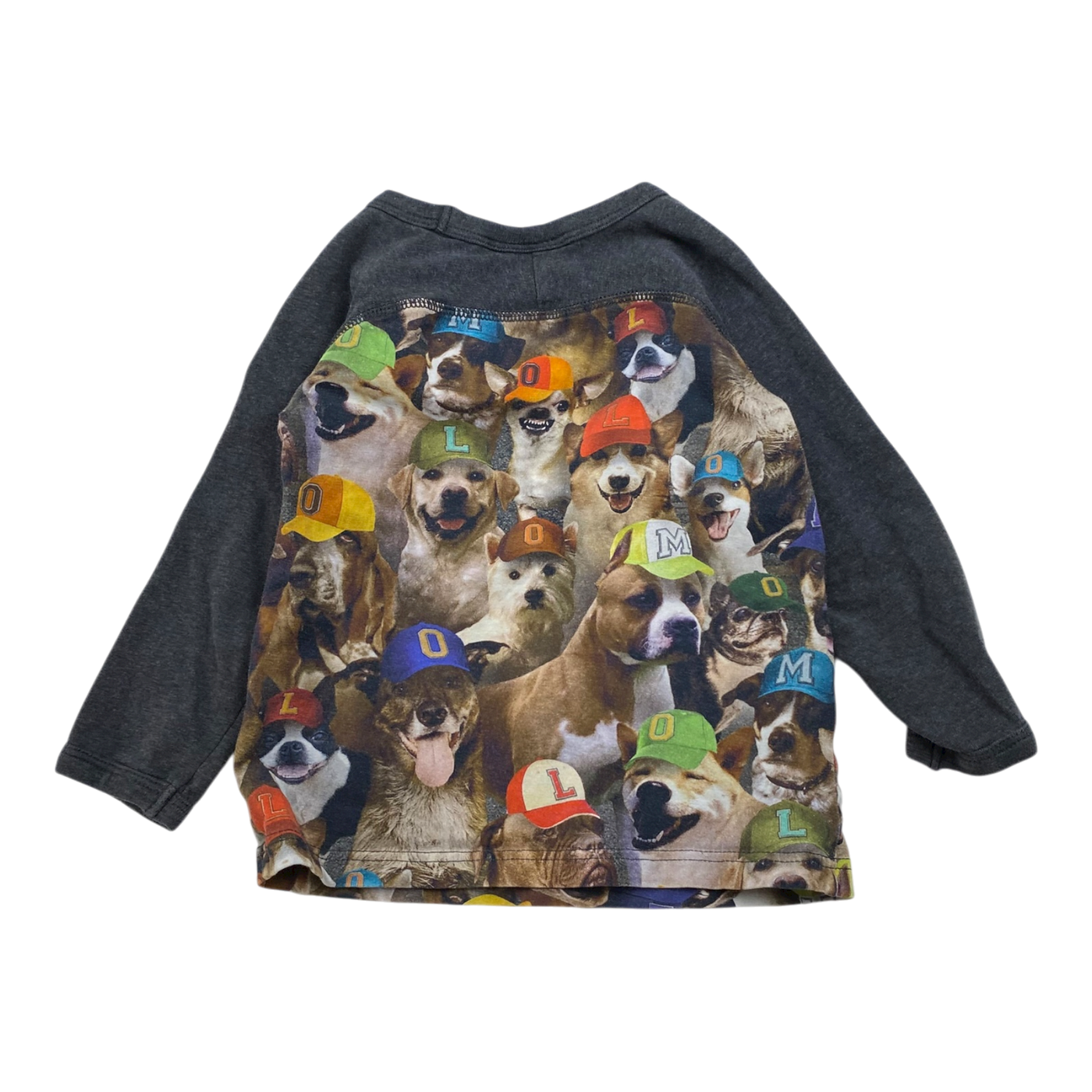 Molo shirt, dogs | 92cm