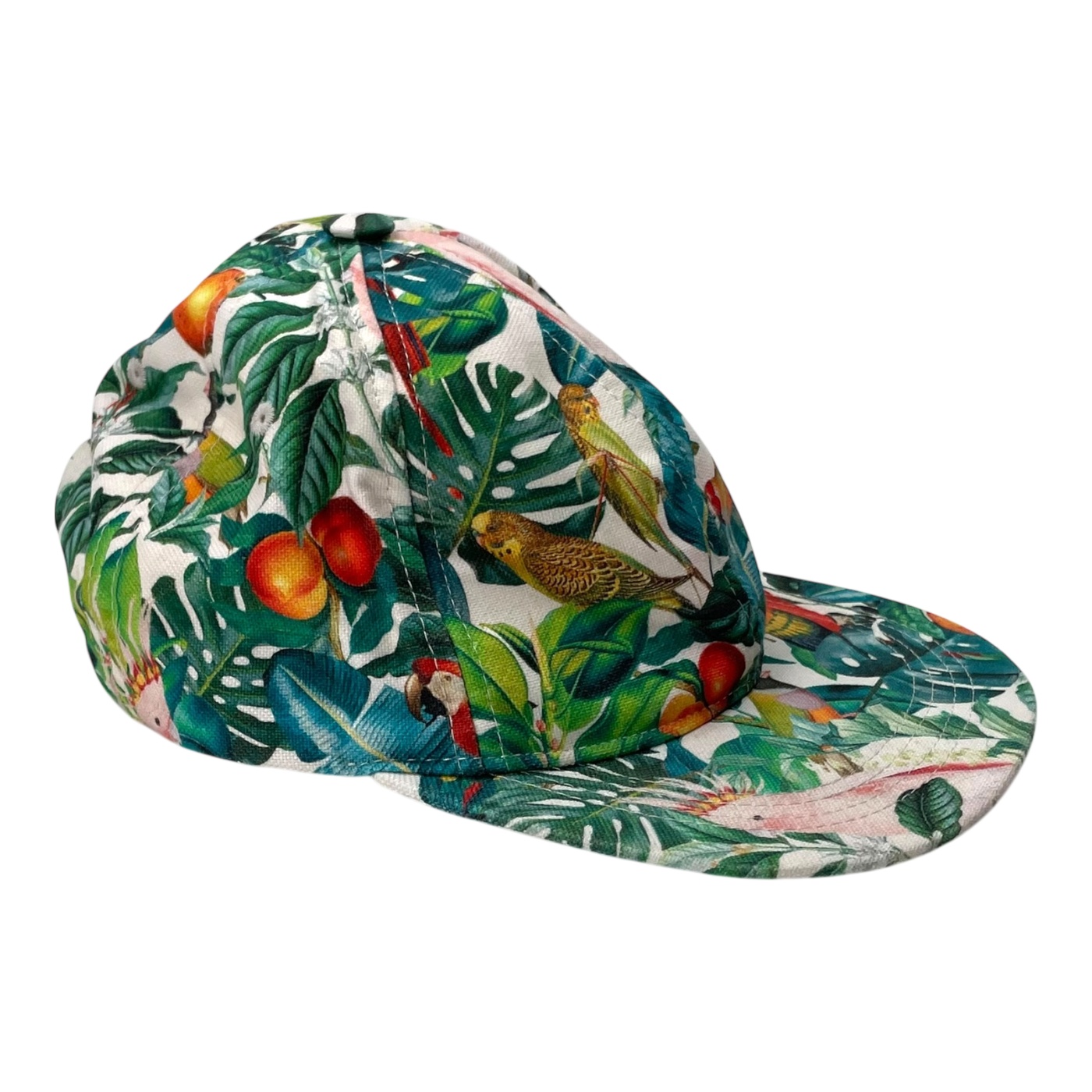 Metsola cap, birds | 5-6 years