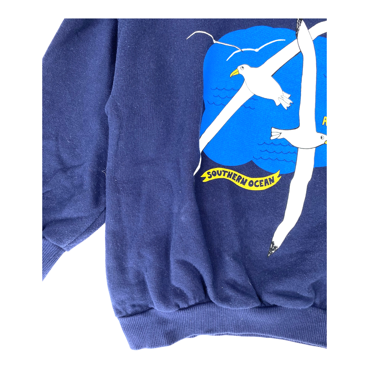 Mini Rodini sweatshirt, albatross | 116/122cm
