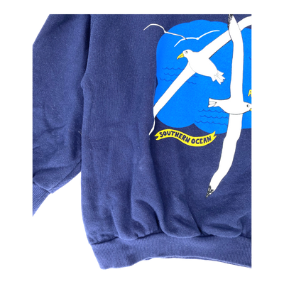Mini Rodini sweatshirt, albatross | 116/122cm