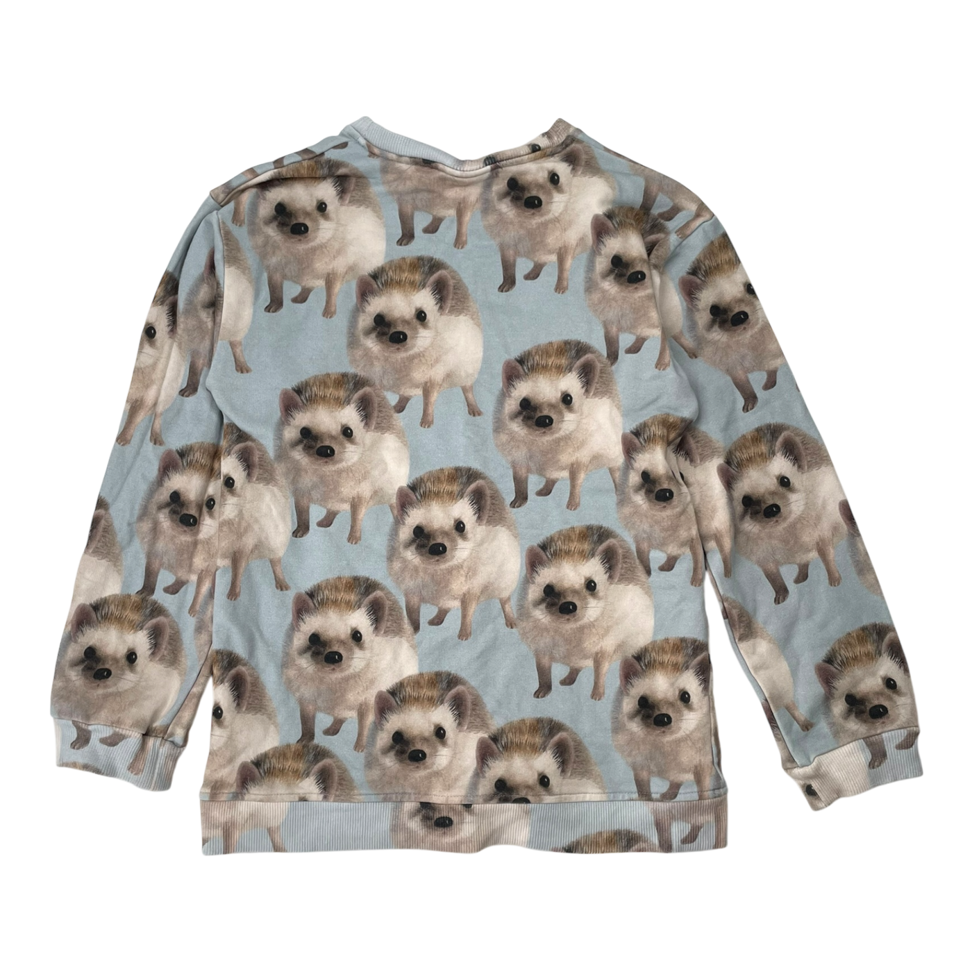 Metsola pocket sweatshirt, hedgehog | 122/128cm