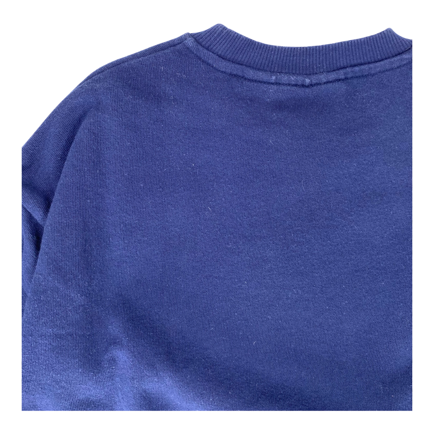 Mini Rodini sweatshirt, albatross | 116/122cm