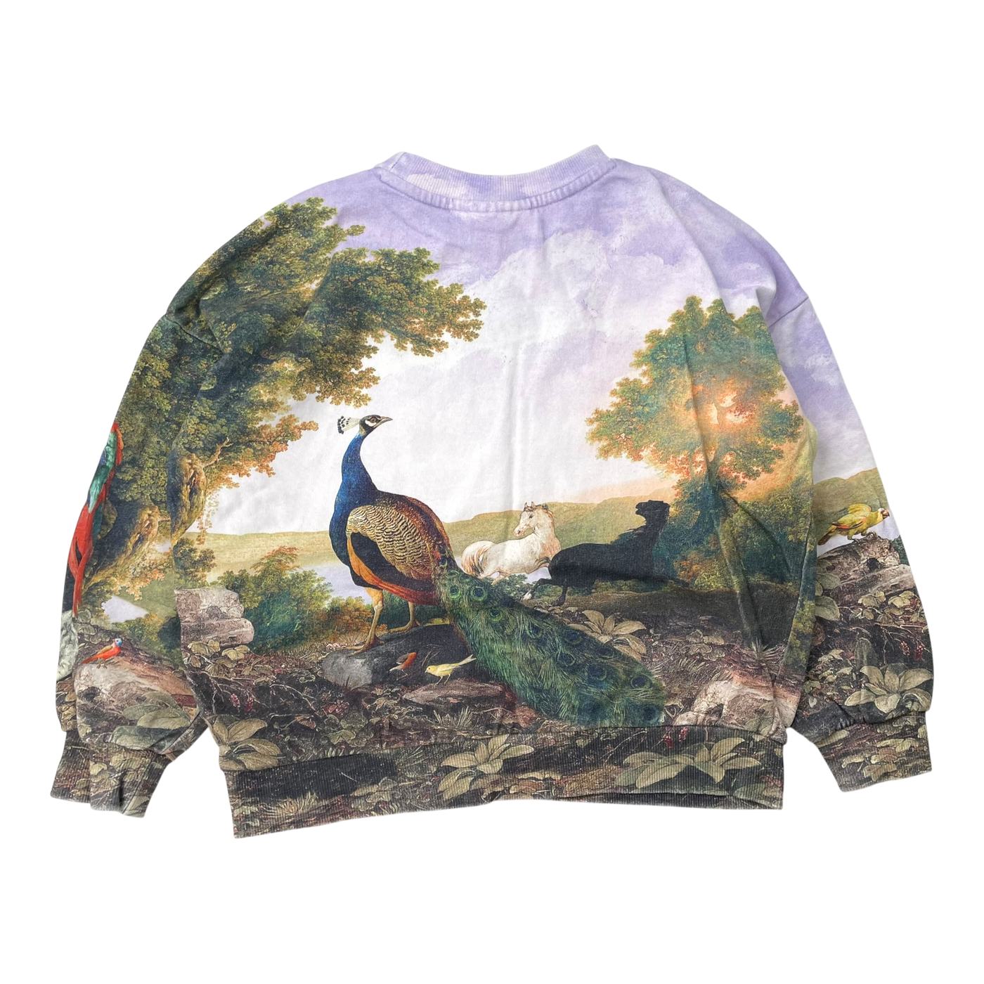 Molo sweatshirt, poetic landscape | 128cm