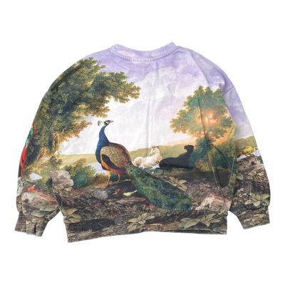 Molo sweatshirt, poetic landscape | 128cm