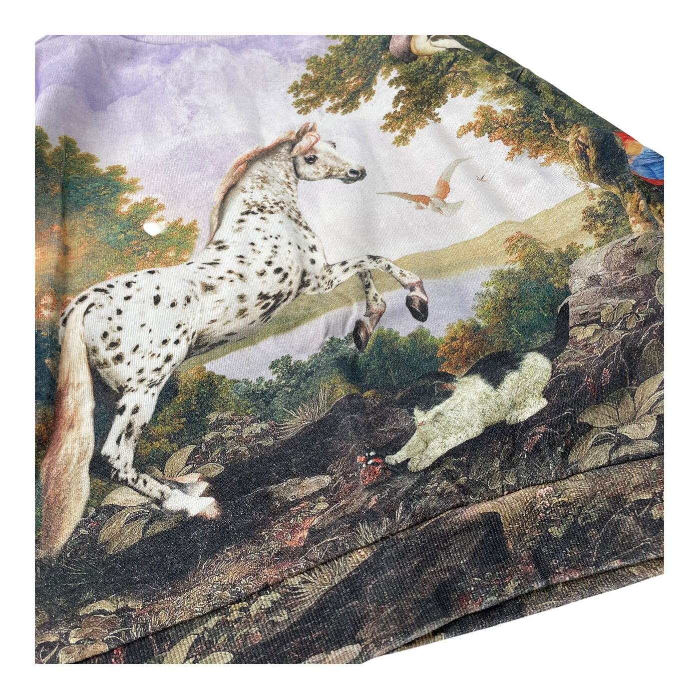 Molo sweatshirt, poetic landscape | 128cm