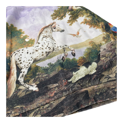 Molo sweatshirt, poetic landscape | 128cm