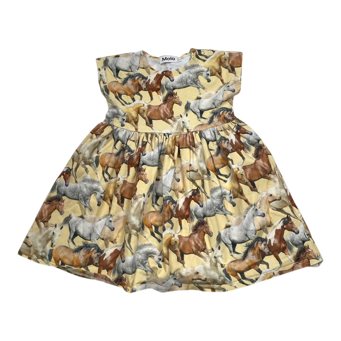 Molo t-shirt dress, horse | 104cm