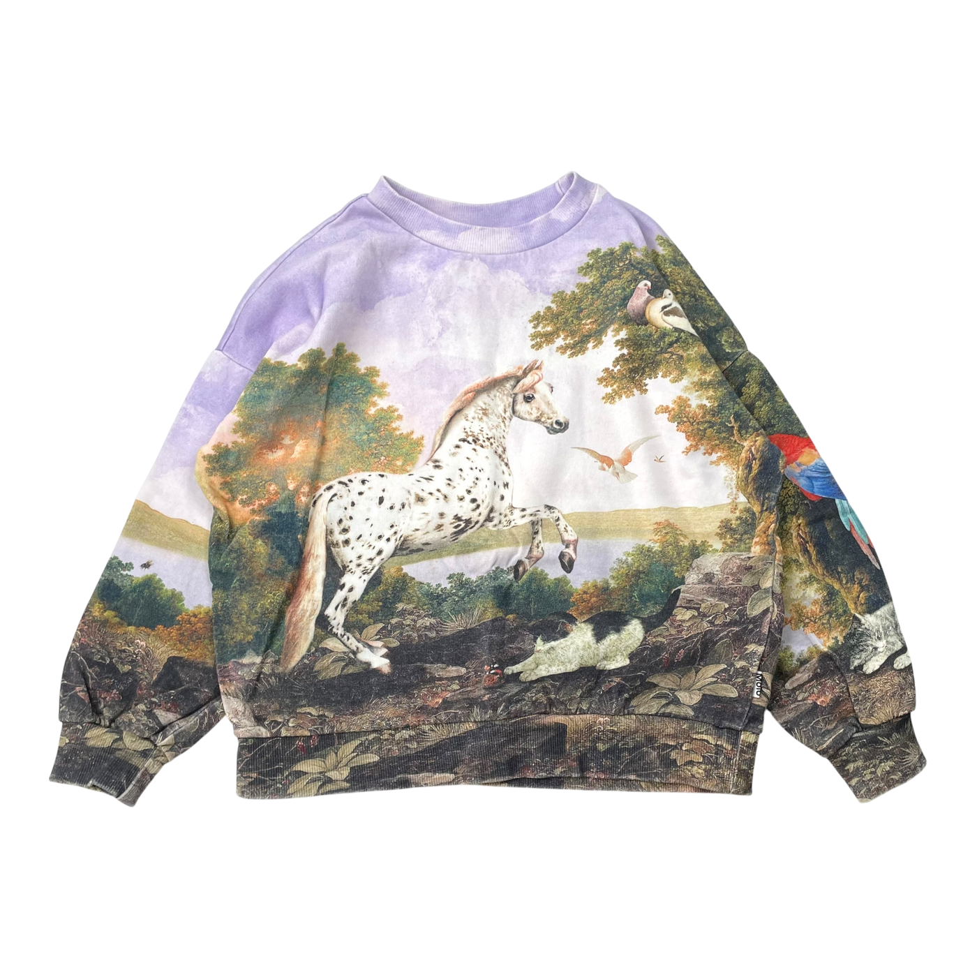 Molo sweatshirt, poetic landscape | 128cm