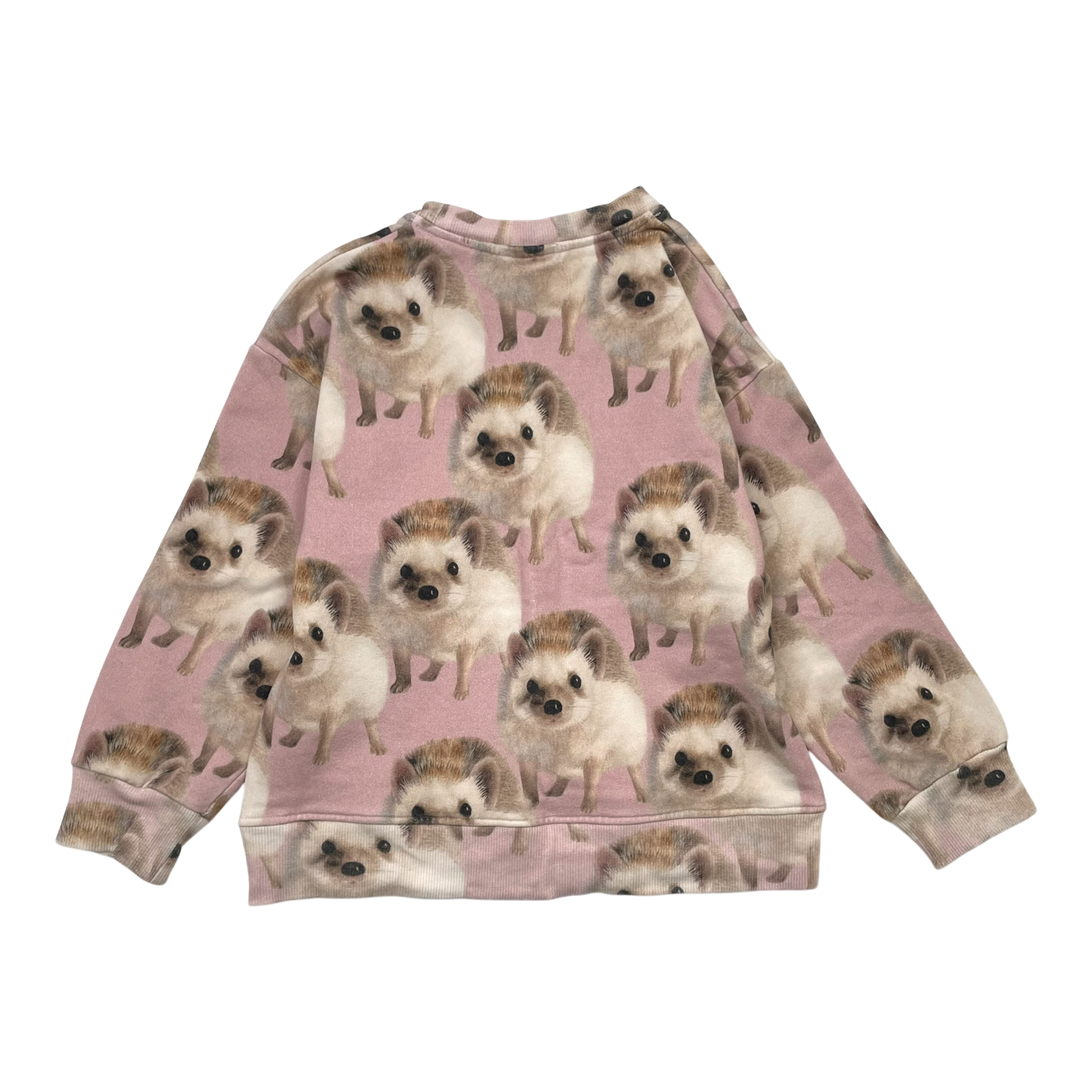 Metsola sweatshirt, hedgehog | 110/116cm