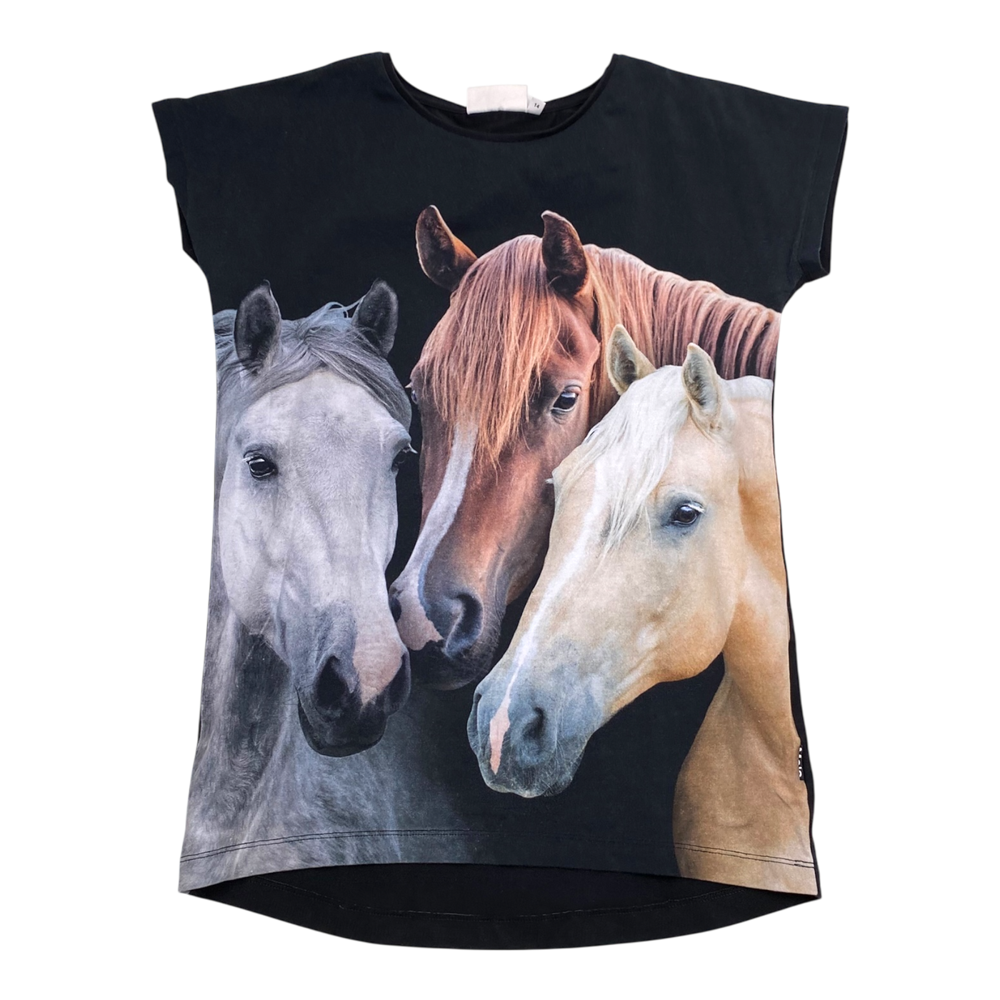 Molo t-shirt, horse | 164cm
