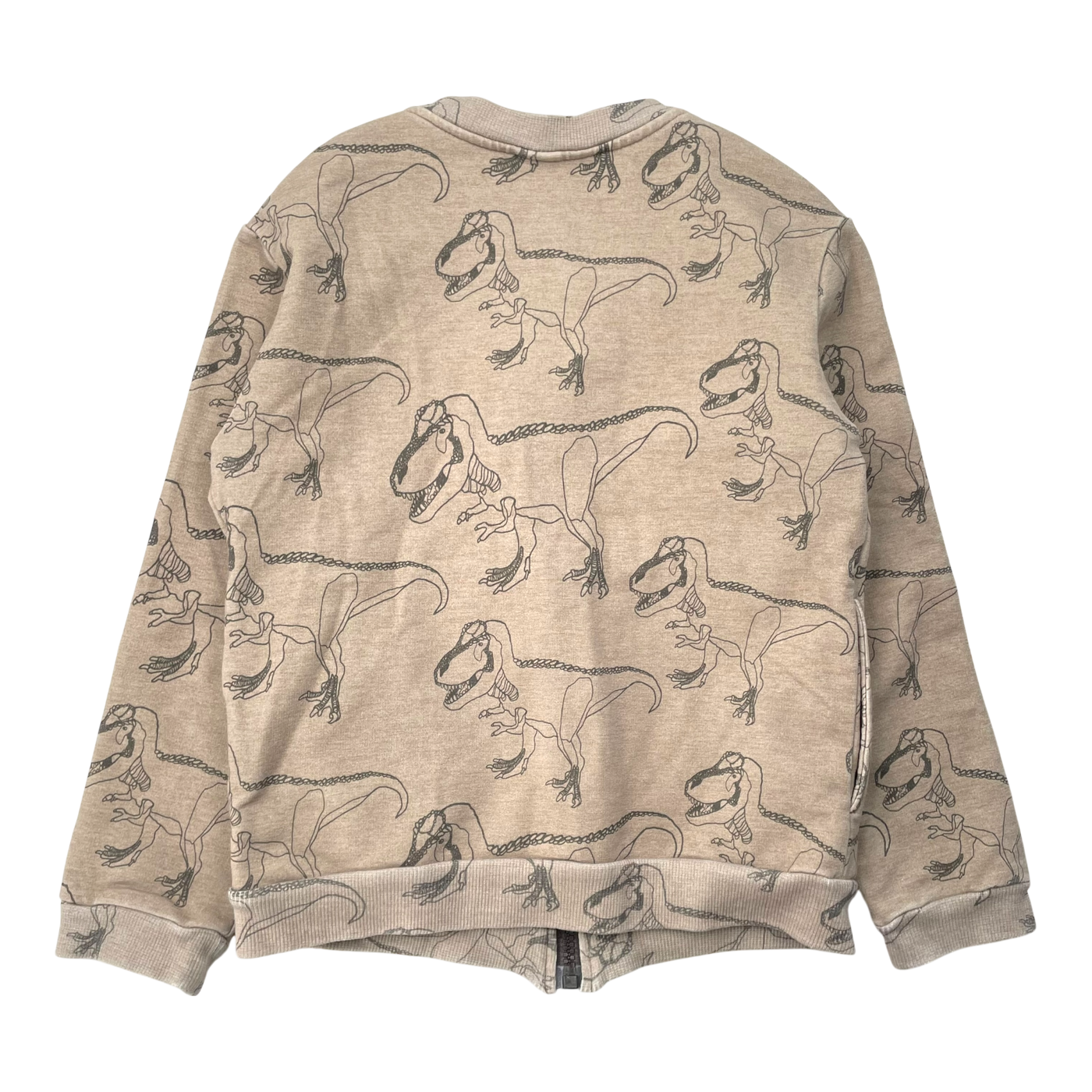 Metsola zip sweatshirt, dino | 122/128cm