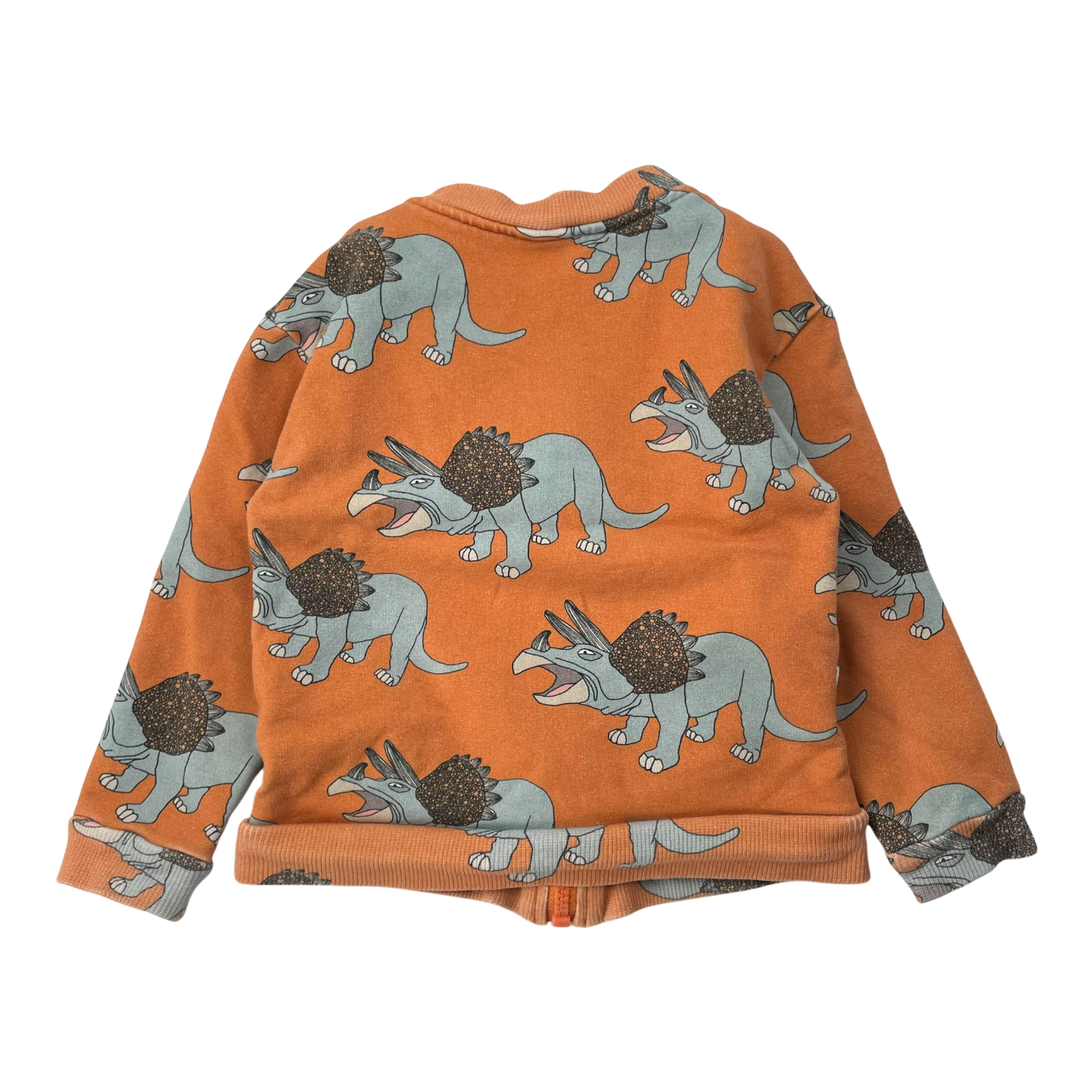 Metsola Zip Sweatshirt, Dino | 86/92 cm