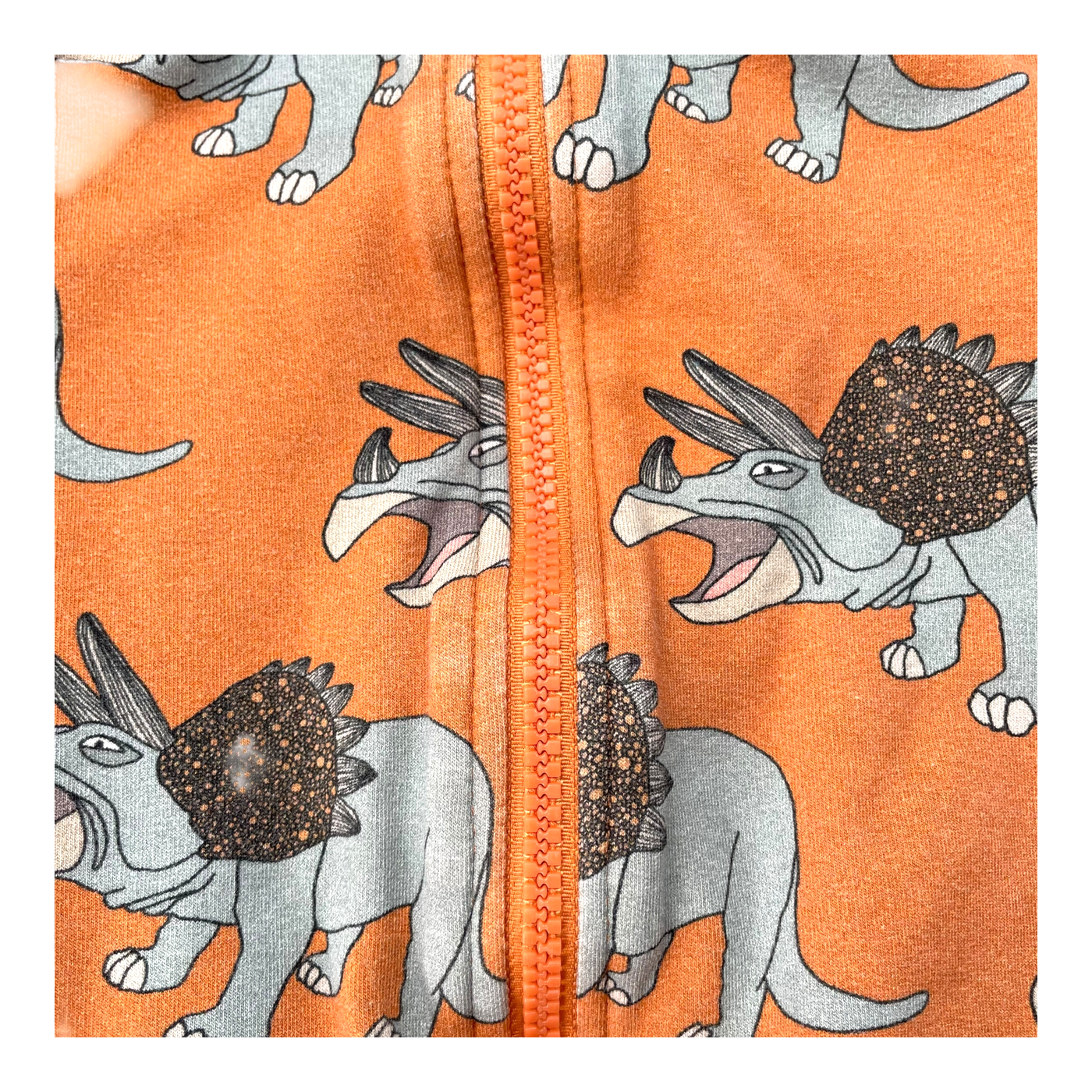 Metsola Zip Sweatshirt, Dino | 86/92 cm
